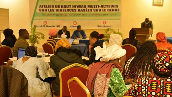 Atelier de haut niveau multi acteurs sur les VBG